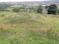 
Ty Rheinallt Farm airshaft, Coity, July 2010